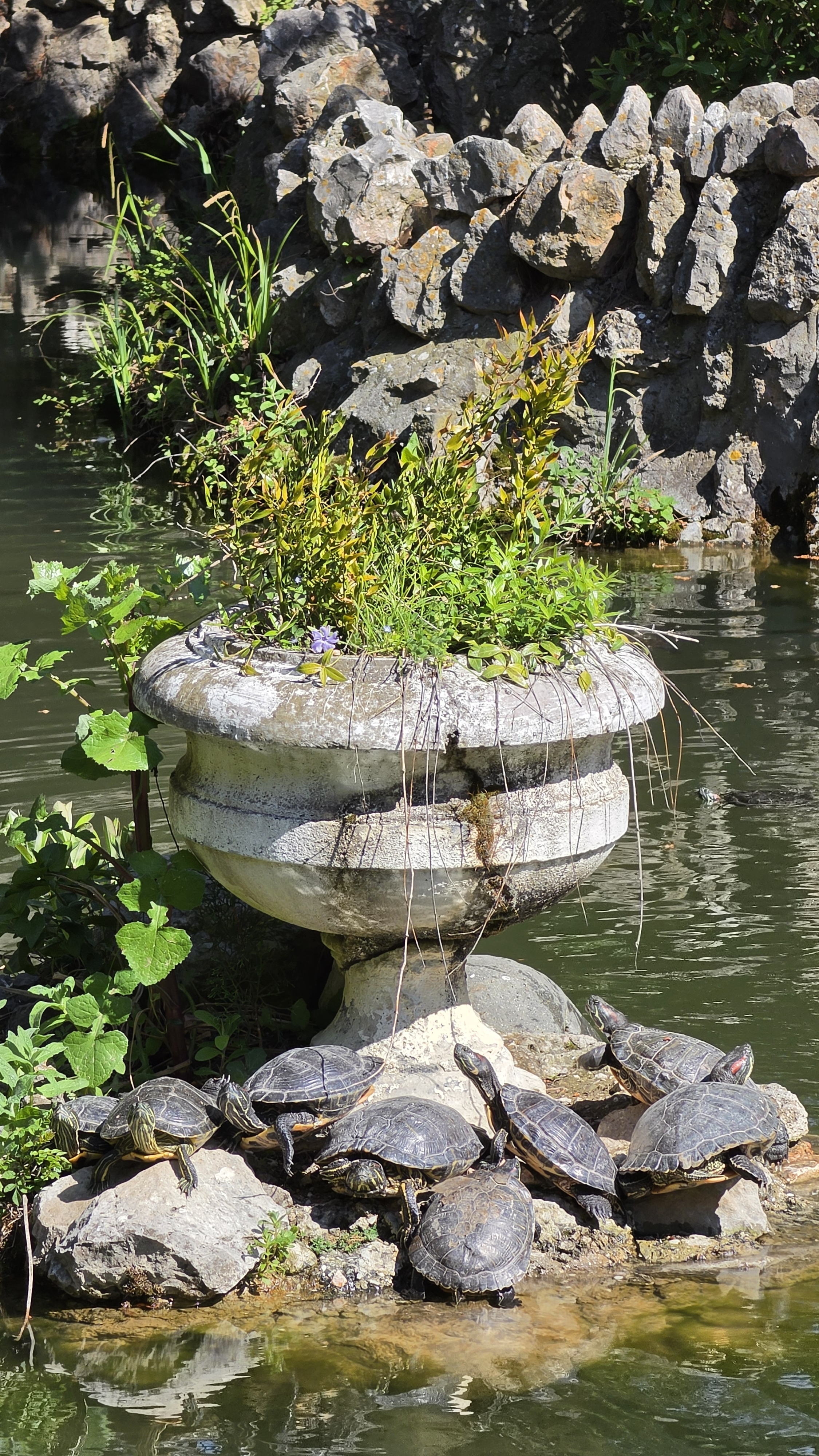 Форосский парк 29 апреля 2026 россия крым форос парк природа горы море красота юг море