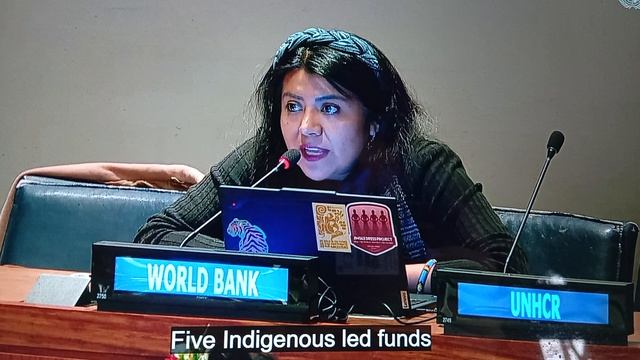Мировой банк и финансы для коренных