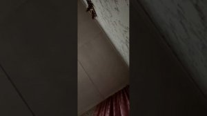 1000077529.mp4