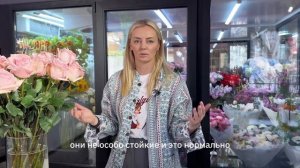 Обзор на поставку в апреле