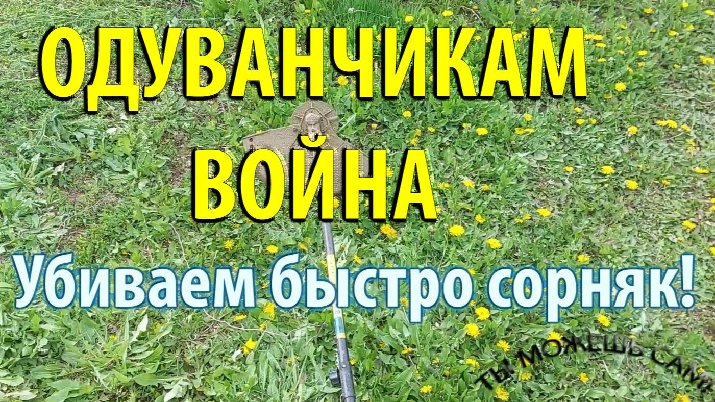 Как избавиться от одуванчиков на участке ОЧЕНЬ БЫСТРО!!!