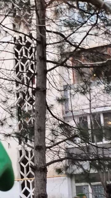1000001161.mp4