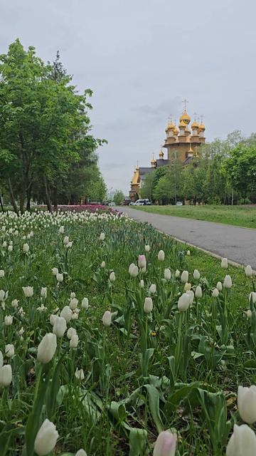 Весна в парке Южный, Белгород