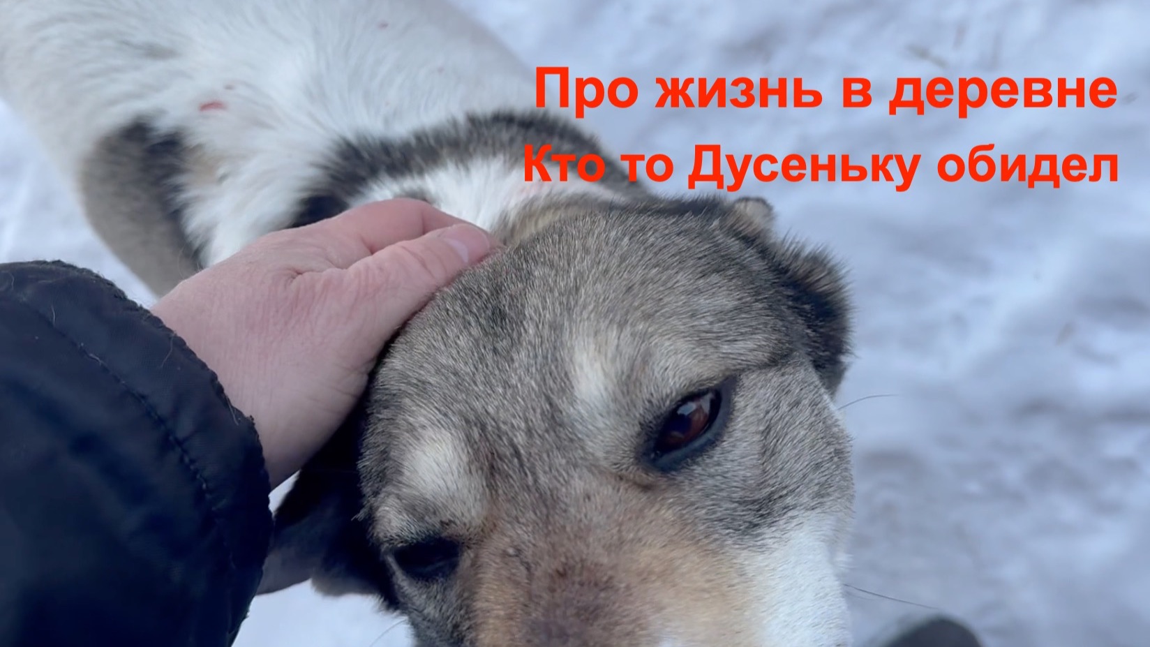 Обидели Дусю