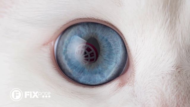 Игрушка для кота с мячиком | FIX PRICE