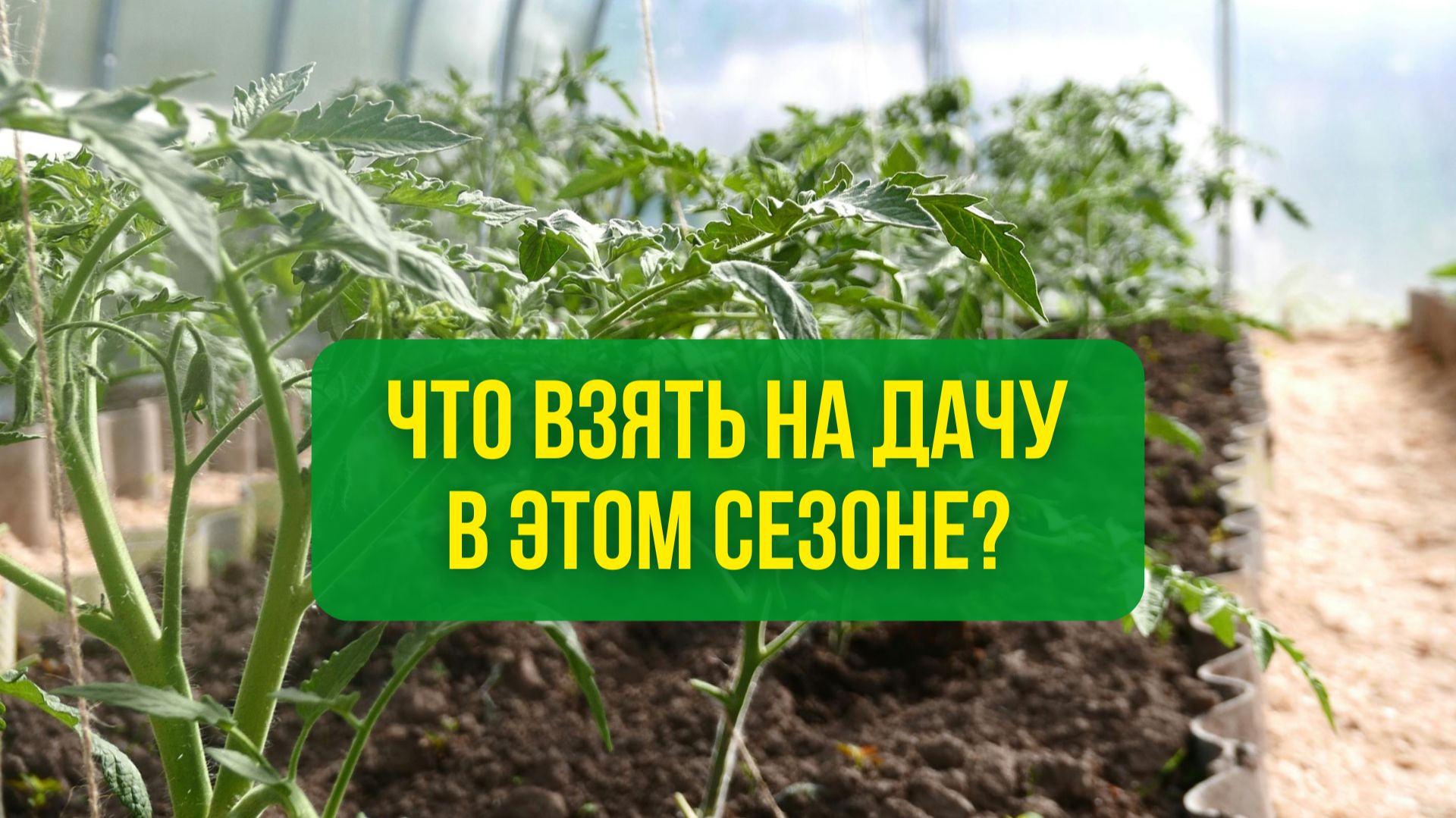 Что взять на дачу в этом сезоне?