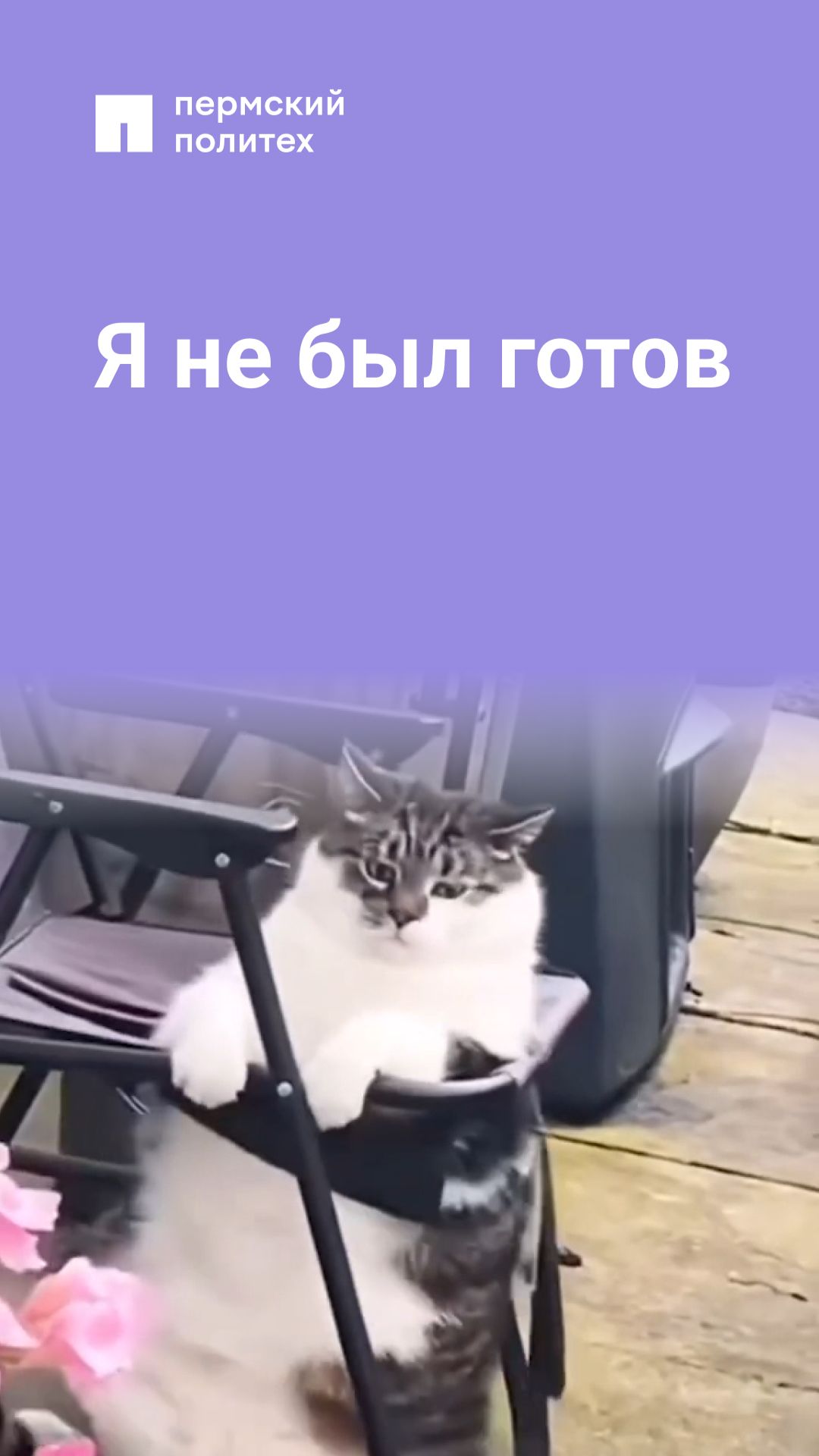 Отсидеться не вышло