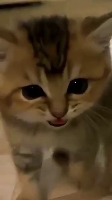 Юмор ржач Приколы