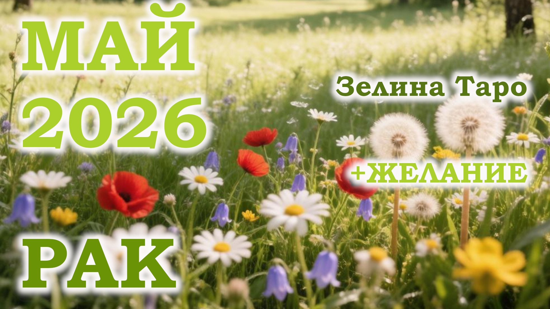 РАК | ТАРО прогноз на МАЙ 2026 года | Желание | Расклад таро