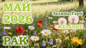 РАК | ТАРО прогноз на МАЙ 2026 года | Желание | Расклад таро