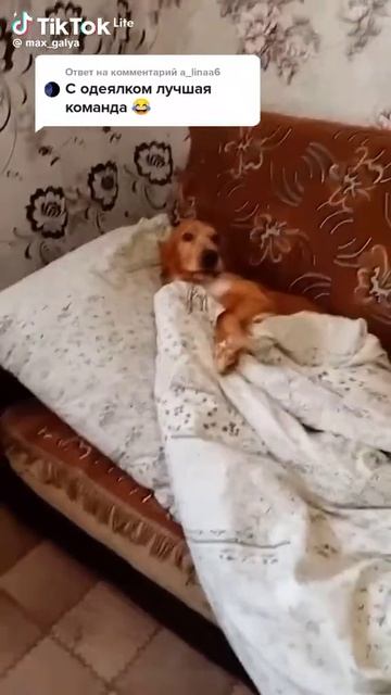 Не хочу работать!