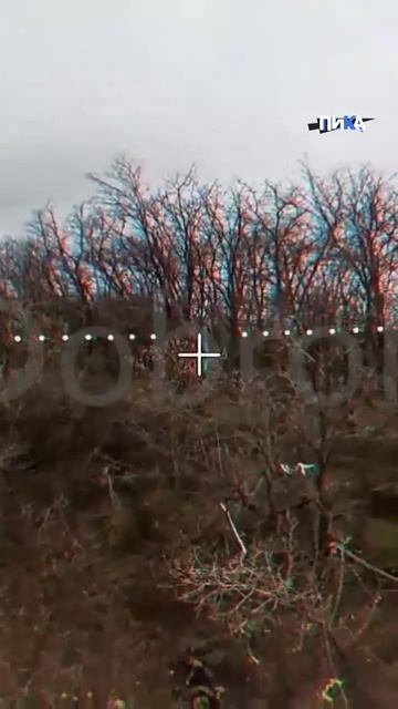 Новостной фронт