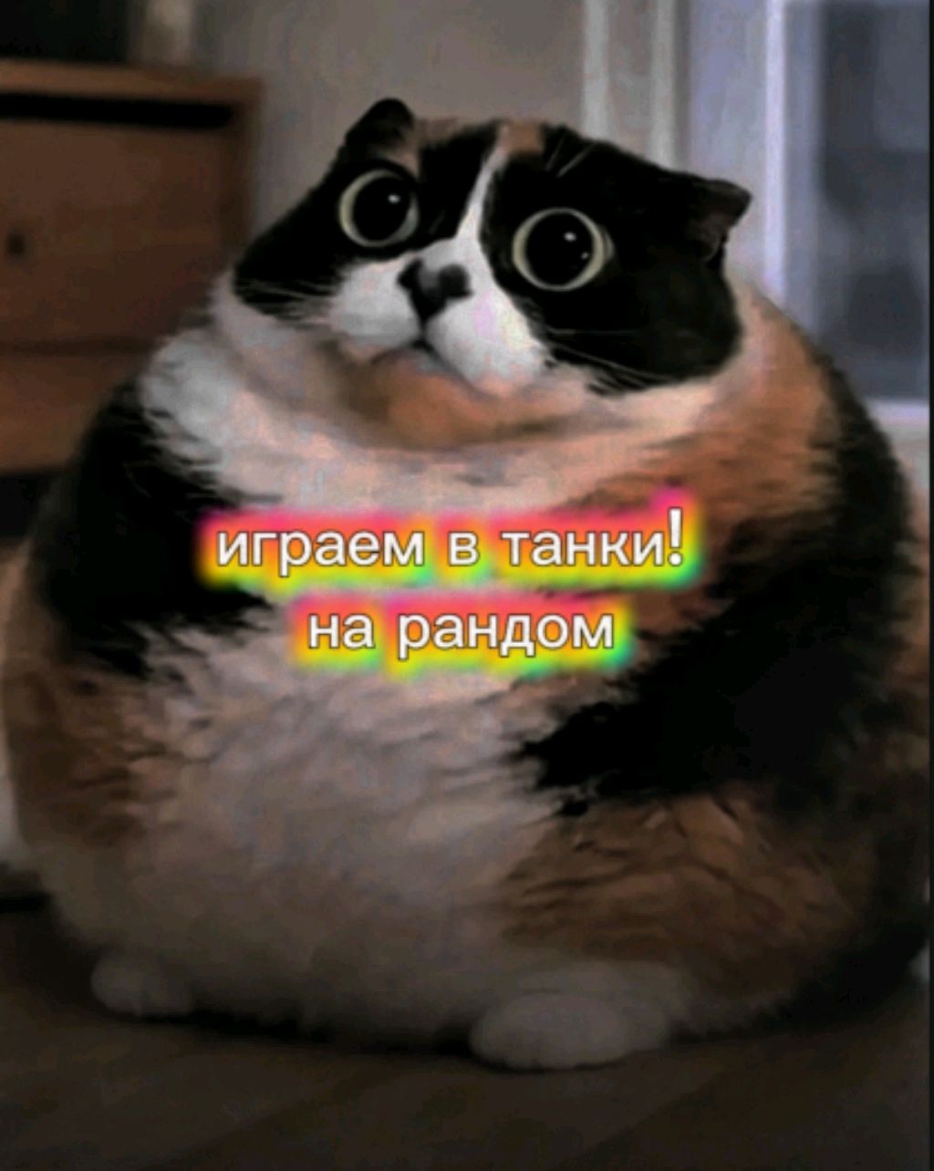 ИГРАЕМ В ТАНКИ! ИГРАЕМ НА РАНДОМНЫХ ТАНКОВ С ПОМОЩЬЮ ПРОКРУТКИ!