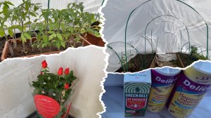 В 3 часа ночи-ноги в руки и бежать😨 Не зная броду не суйся🙈 Моя разработка😊