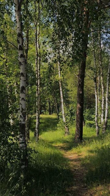 В мире все просто