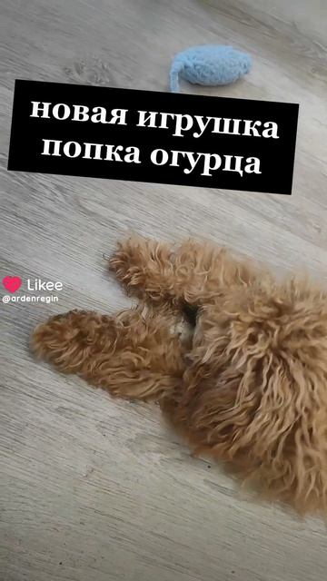 1000273514.mp4