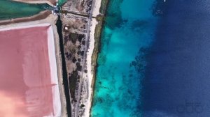 Bonaire Ocean Therapy 🌊 ｜ Coral Reefs, Pink Salt Ponds, and Wild Coast ｜ 3 Hours for Your