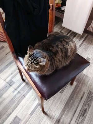 выполняем задания 
подписчиков