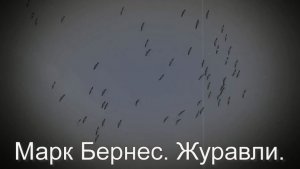 Марк Бернес. Журавли. Военные песни, с днем Победы!