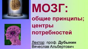 Физиология потребностей 3 - Мозг и любопытство