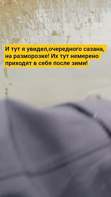 ставьте лайк и подписывайтесь на наш канал #fishing #рыбалка #сапкаяк