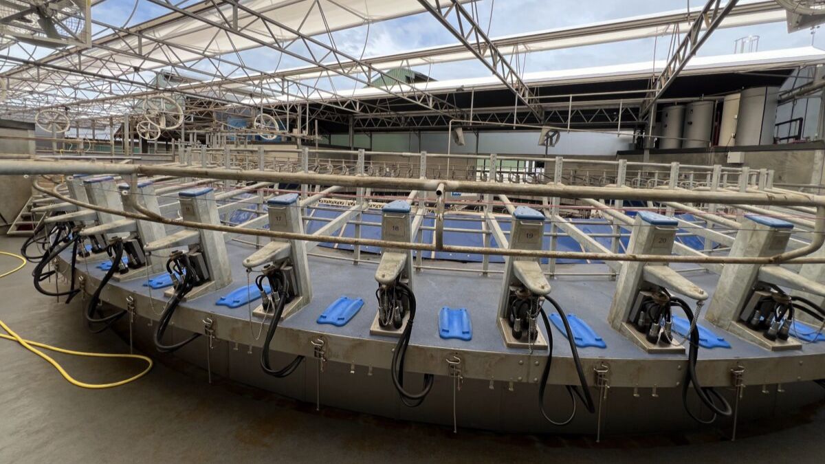 Доильный зал Внешняя Карусель  BouMatic Xcalibur-360ex-