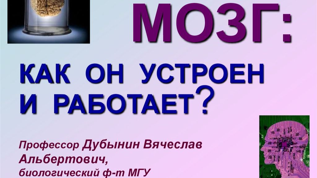 Мозг_ как он устроен и работает - Лекция 2