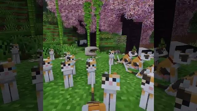 я+котики=❤️