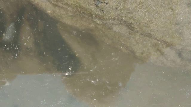 Гоа. Палолим - бич. Особая планета.