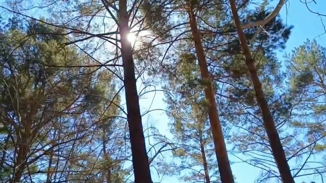 Якутский обряд МГЦ