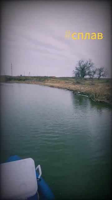 25 марта 2026 г.