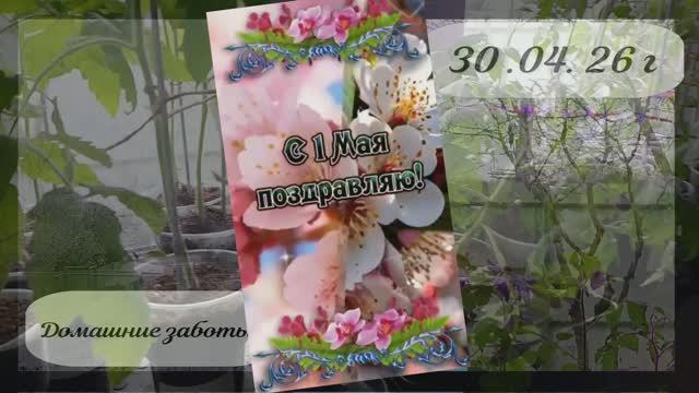 Спасаем любимые растюшки .