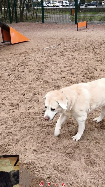 Луна. Май. 2026