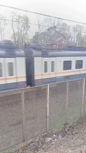 комбо из эп2д Рекс 288 и сново же эп2д 221