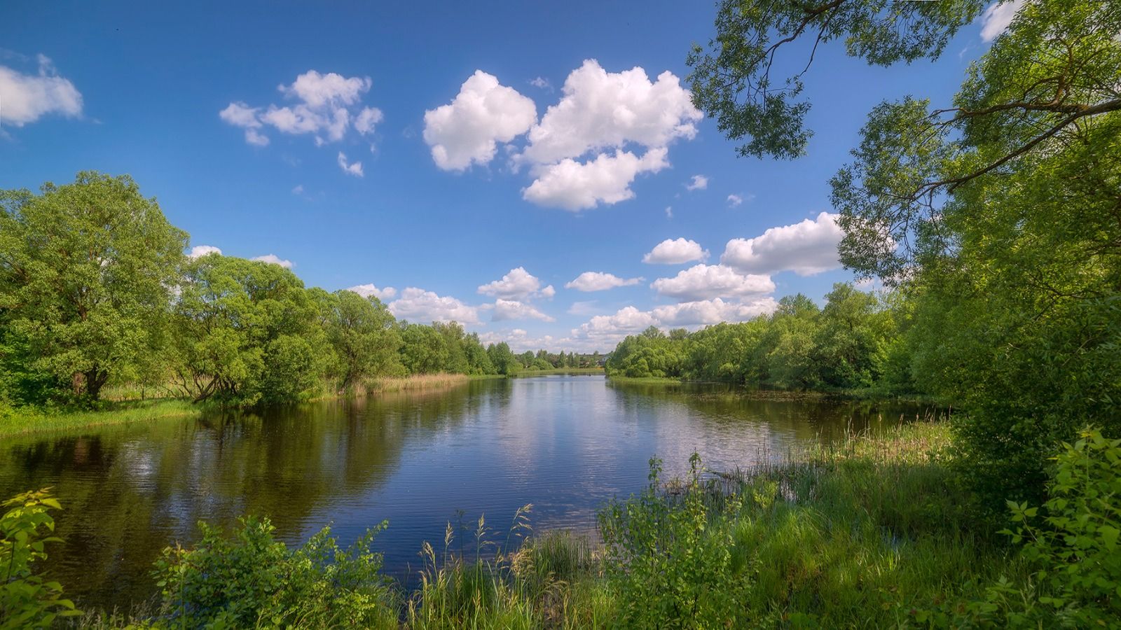Гляжу в озёра синие ....