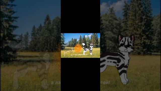 сегодня будет два видео сейчас реакция на сью пожочка потом узнаете что