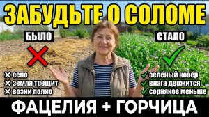 ЗАБУДЬТЕ О СОЛОМЕ 2 растения закроют землю сами