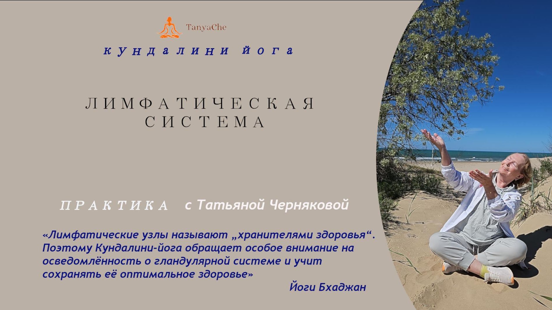 Лимфатическая система3