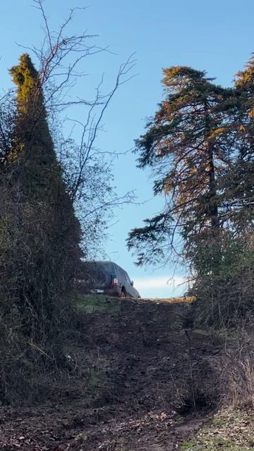 Mr.SOLOVEI | из жизни Абхазии