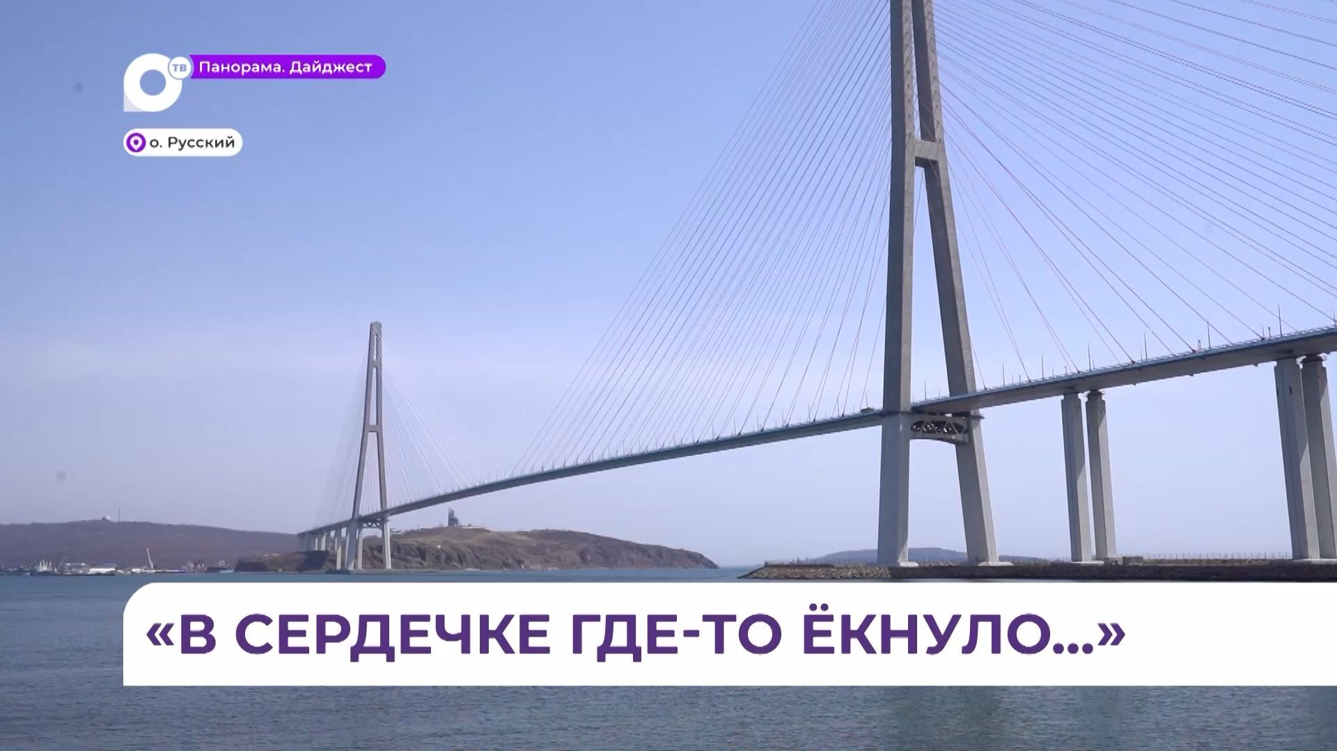 Семьи из российских регионов выбрали сердцем Владивосток