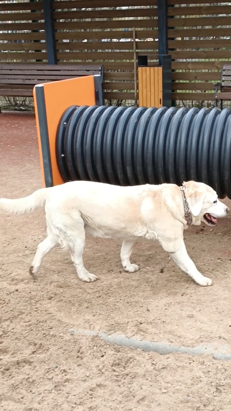 Луна. Май. 2026