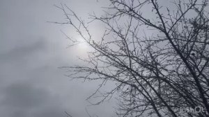 ЗАКАЗАЛА ПАМЯТНИК БРАТУ❤️❤️❤️/жизнь здесь и сейчас ✅❤️❤️❤️