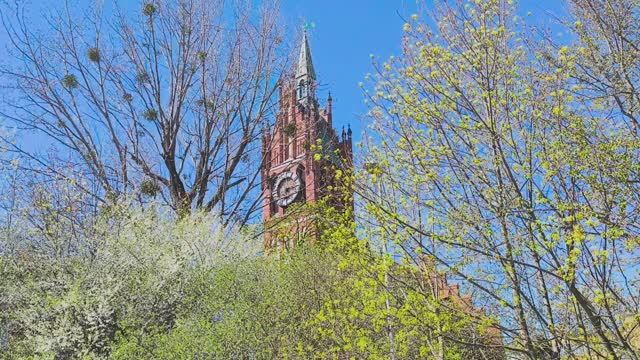 Влог одного дня. Весенний Калининград.