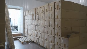 ИНФЛЯЦИЯ ЗАМЕДЛИЛАСЬ