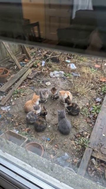 У них собрание