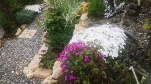 Путь дворика за 5 лет. Все сделано женскими руками