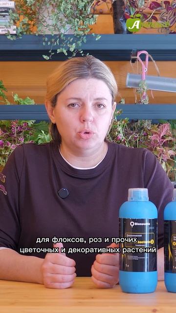 Как избавиться от мучнистой росы?