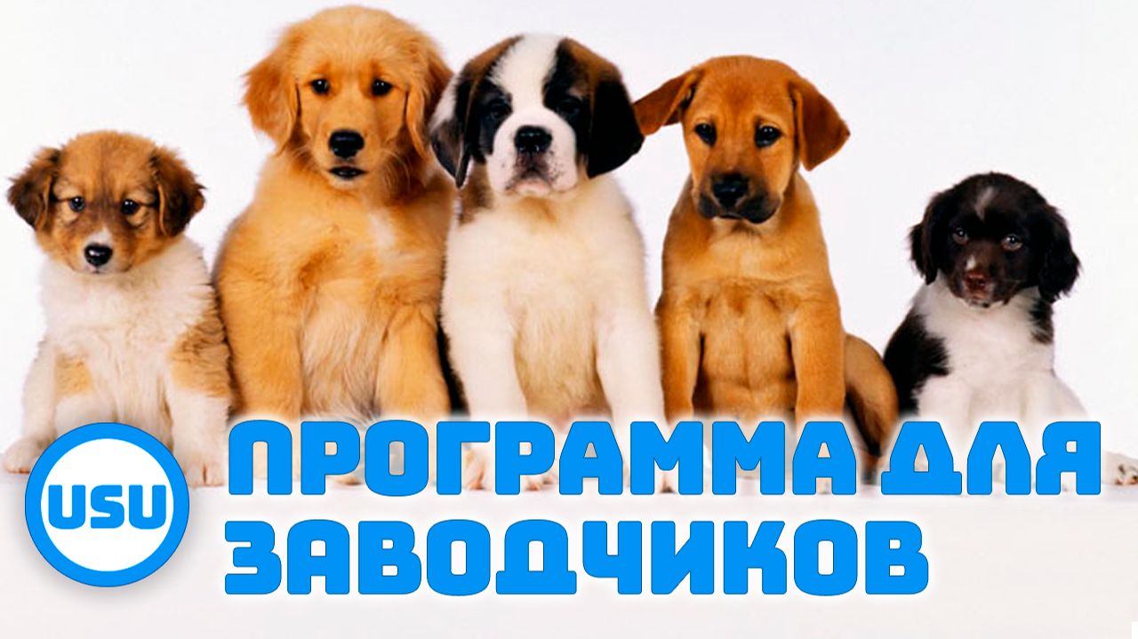 Программа для заводчиков