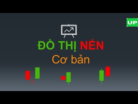 Lite Finance: Легкий старт без оплаты для новичков 2026