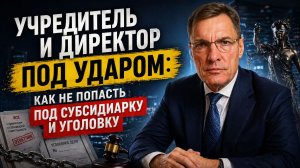 Учредитель и директор под ударом: как не попасть под субсидиарку и уголовку